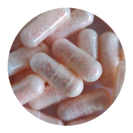 Pink Rhino MDMA Capsules
